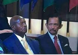 Will western puppet Museveni succeed in his desperate bid to switch survival cards?