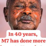 Demystifying power-hungry M7’s campaign fake mantra of “protecting the gains”